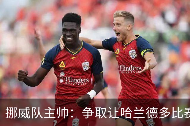 挪威队主帅：争取让哈兰德多比赛 他是世界上最好的前锋之一